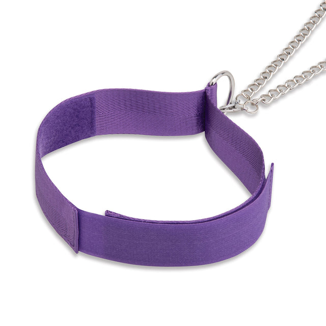 Purple choker with a silver chain on a white background
